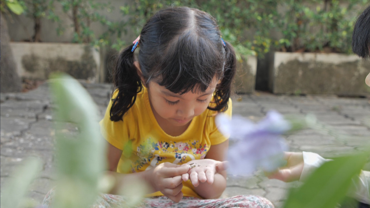 Witnoi670120_5