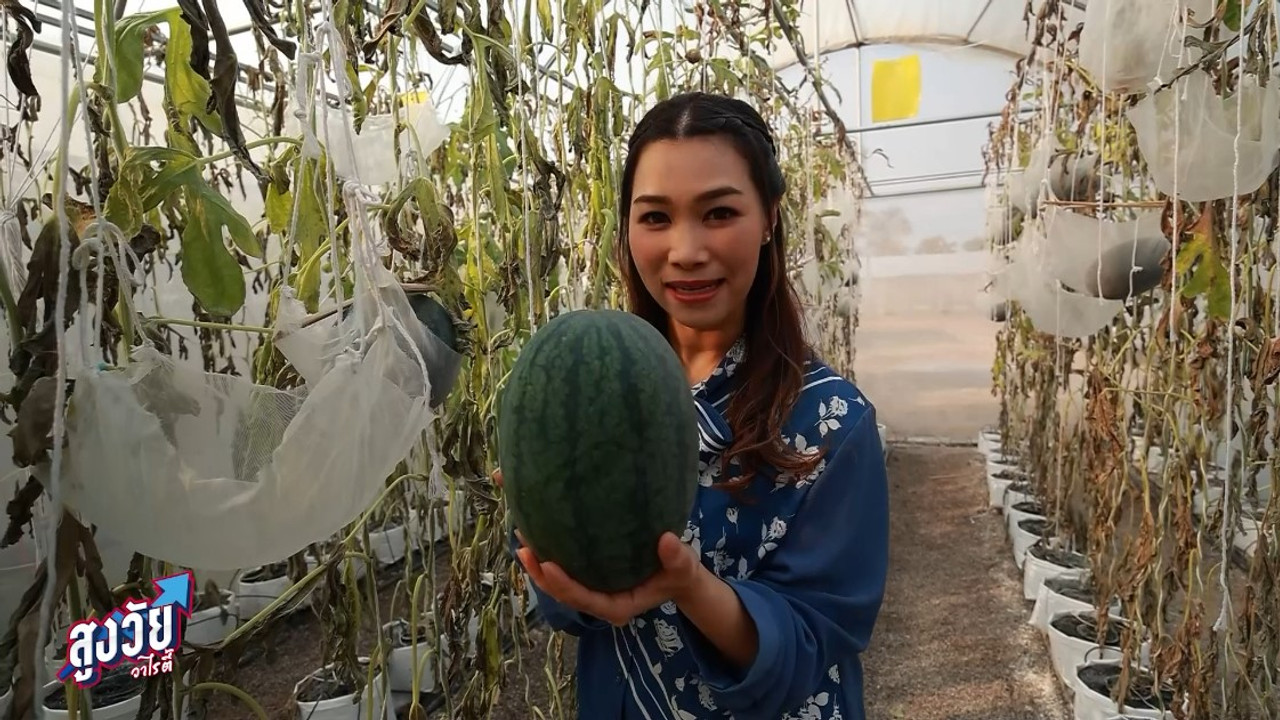 AgedVariety_670209-6