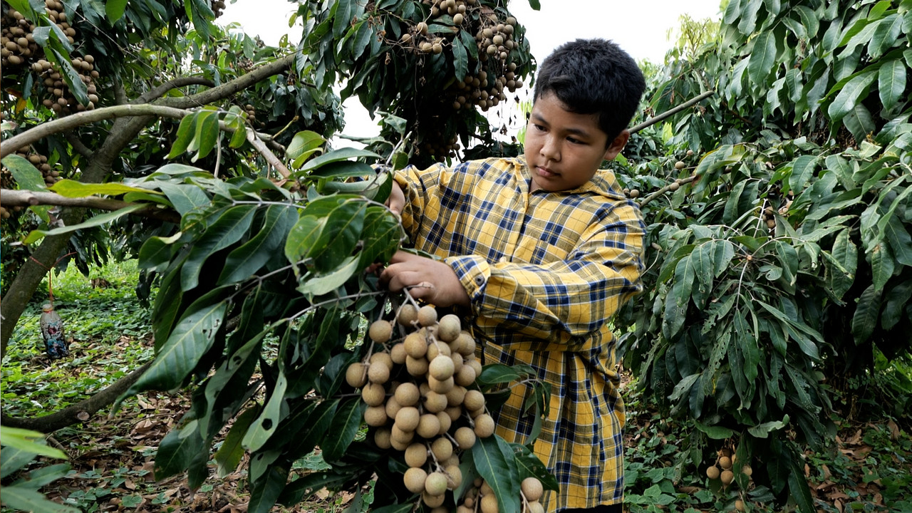 MhoKhaoMhoGang670225-5