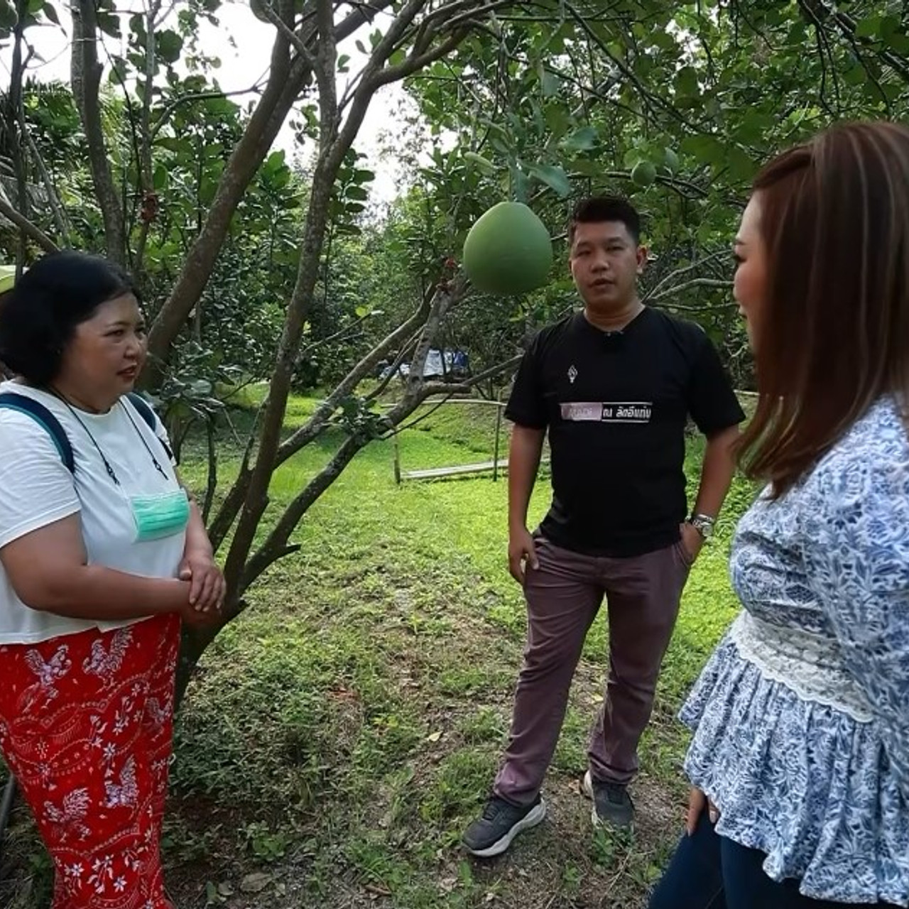 AgedVariety_670405-5