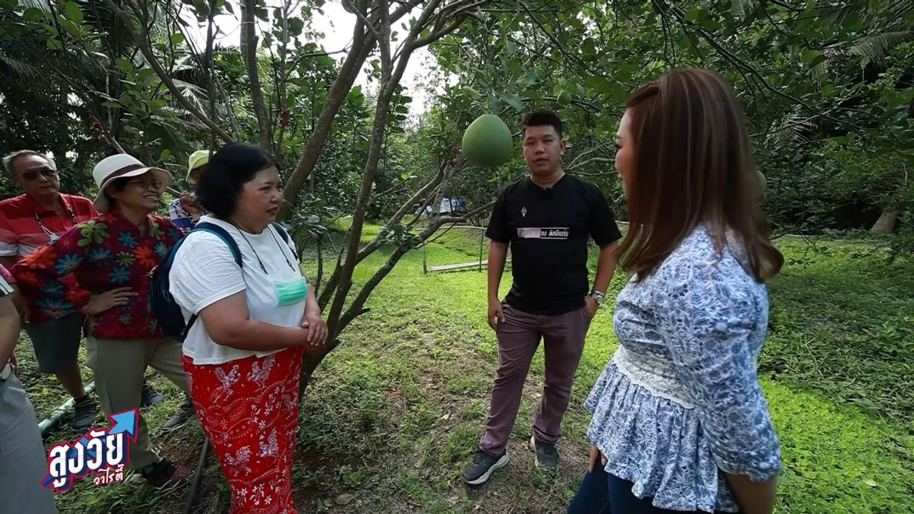 AgedVariety_670405-5