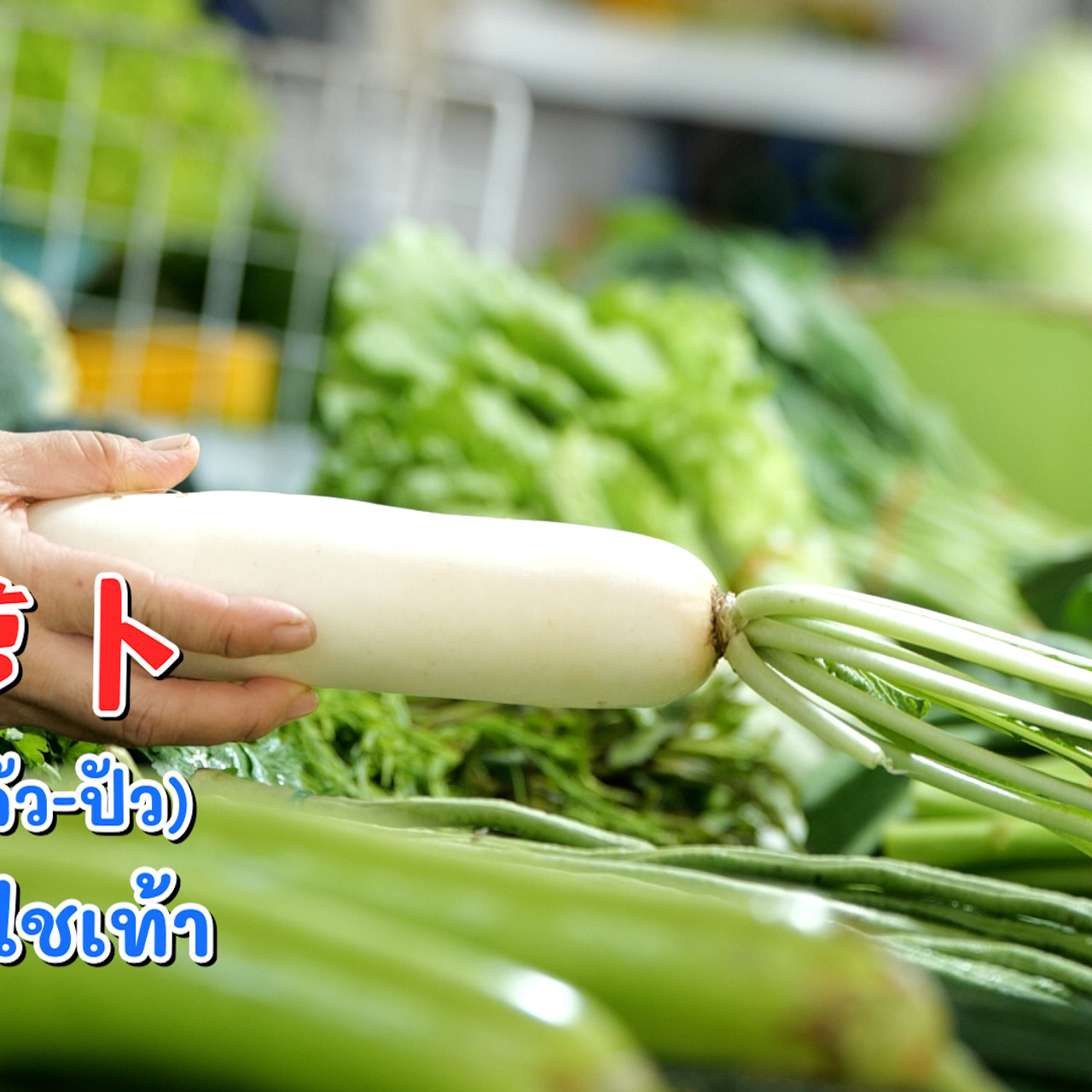 WoAiChinese_670806_3