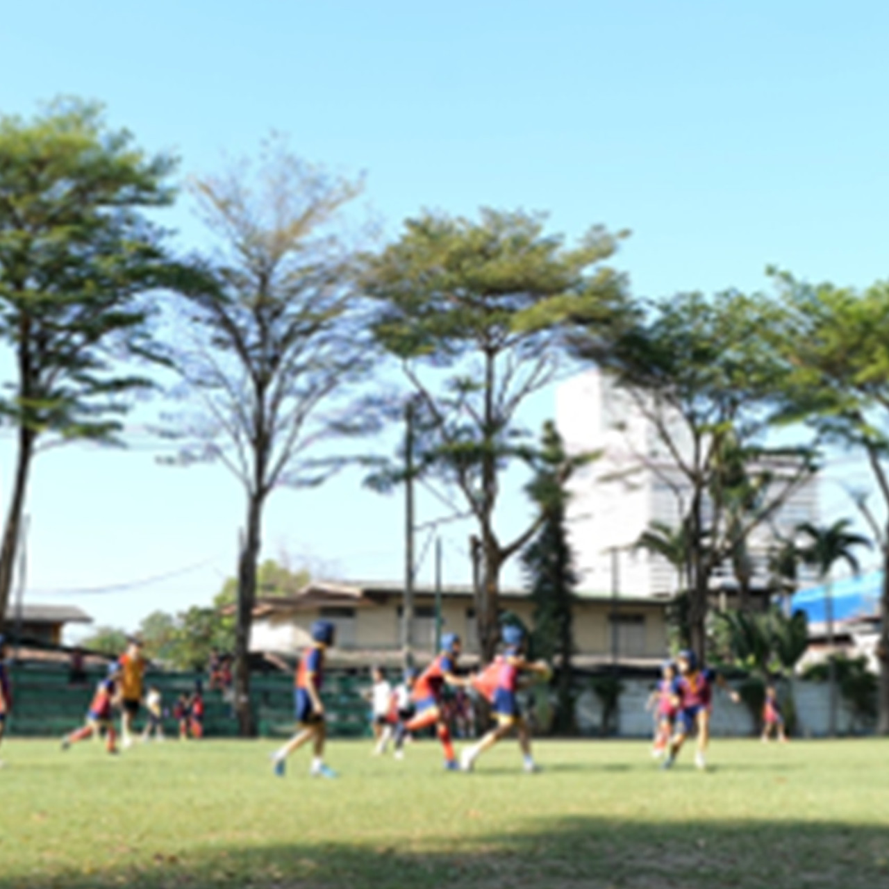 MySchool_670901_02