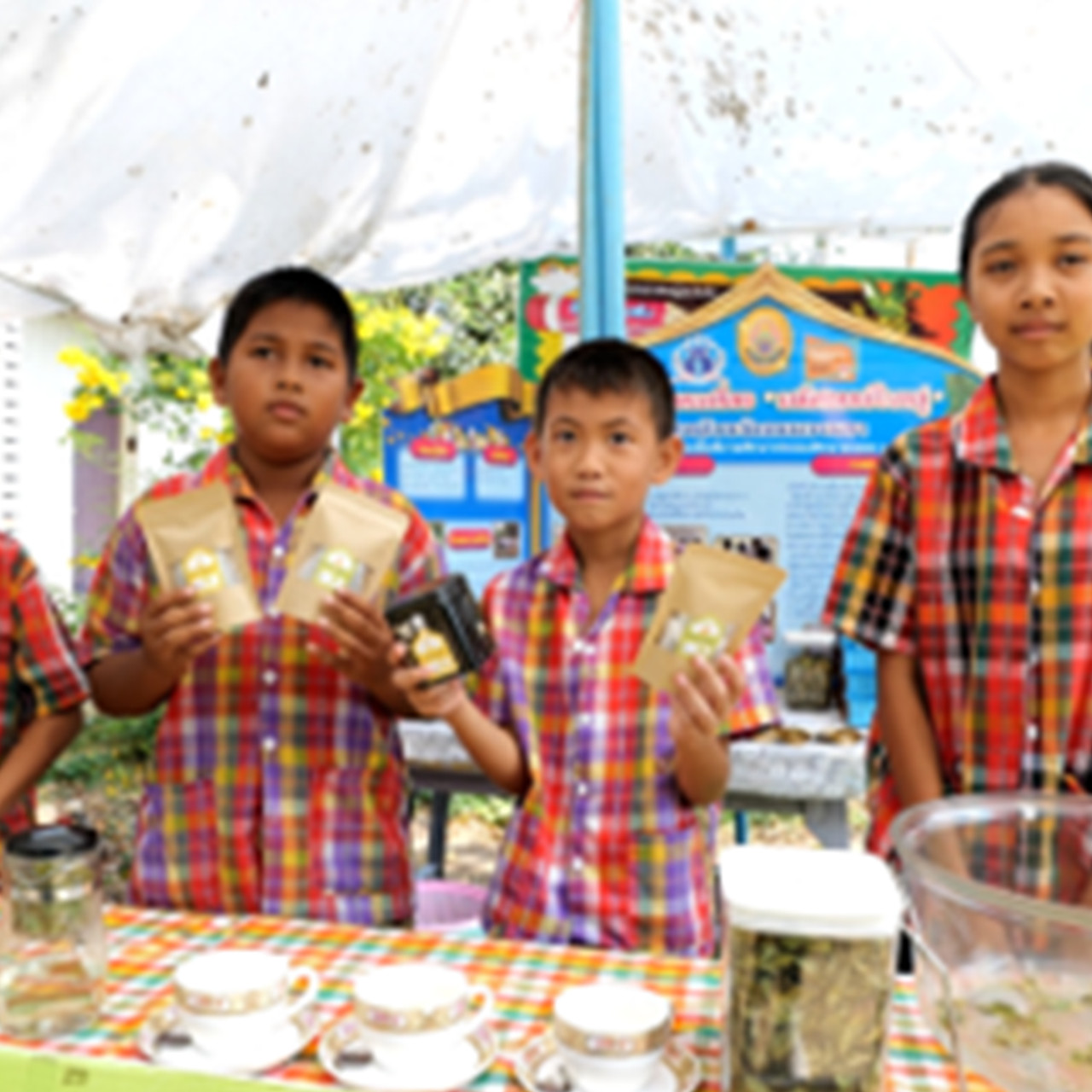 MySchool_670818_01