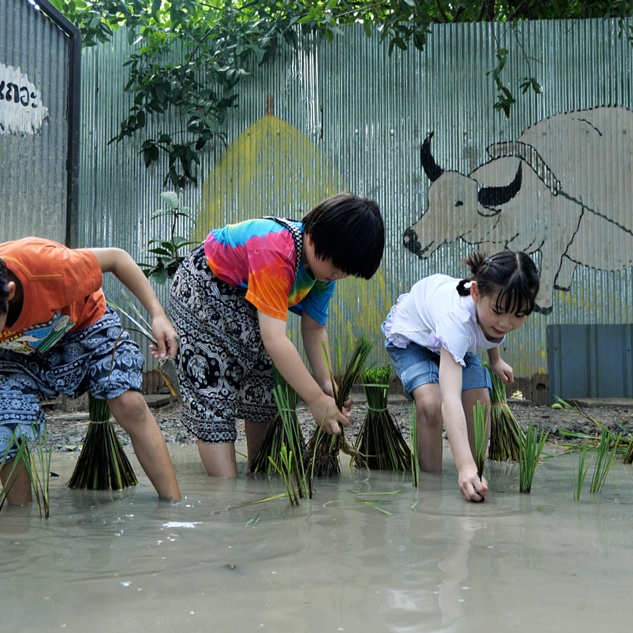 WoAiChinese_670611_4