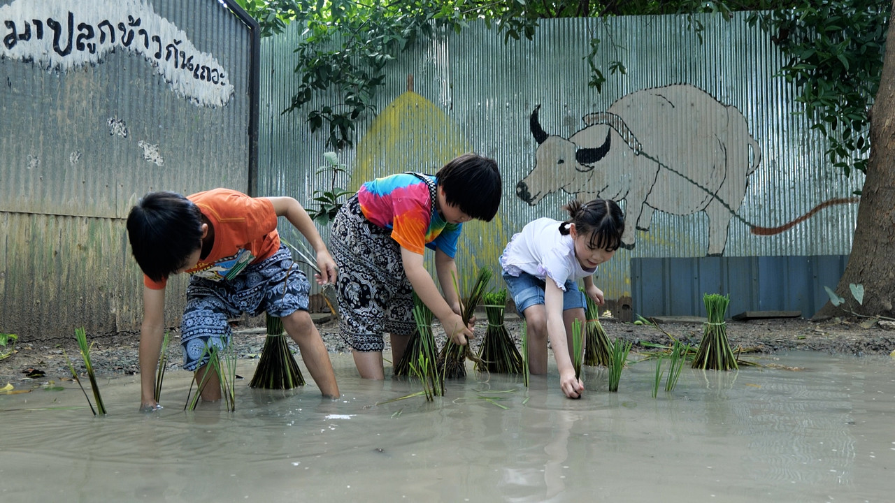 WoAiChinese_670611_4