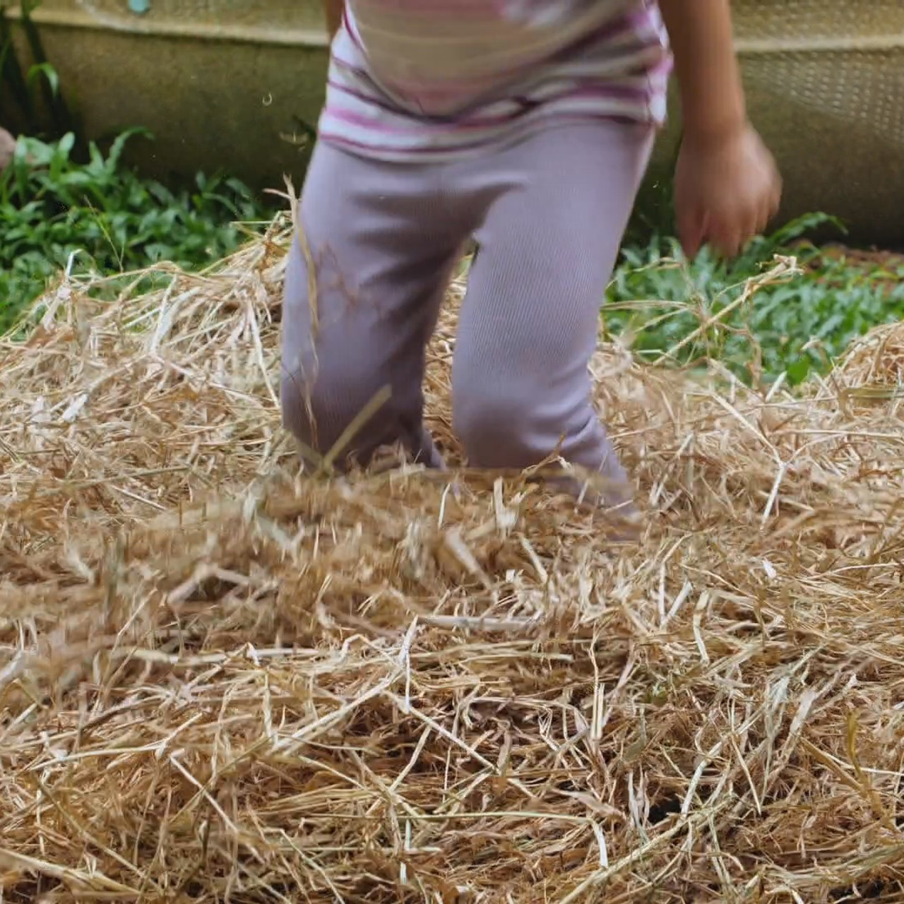 Witnoi_Omni_670821_2