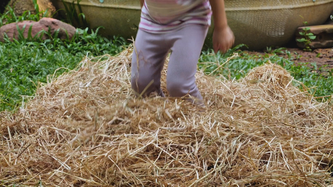 Witnoi_Omni_670821_2