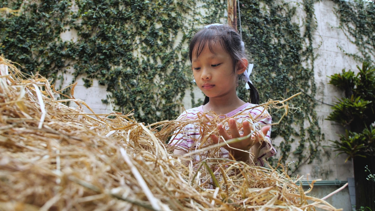 Witnoi_Omni_670821_3