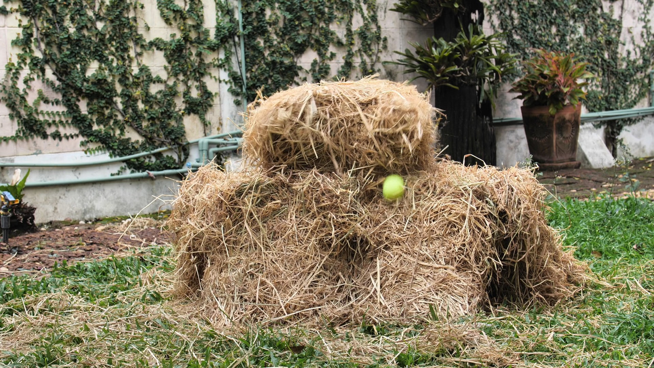 Witnoi_Omni_670821_5