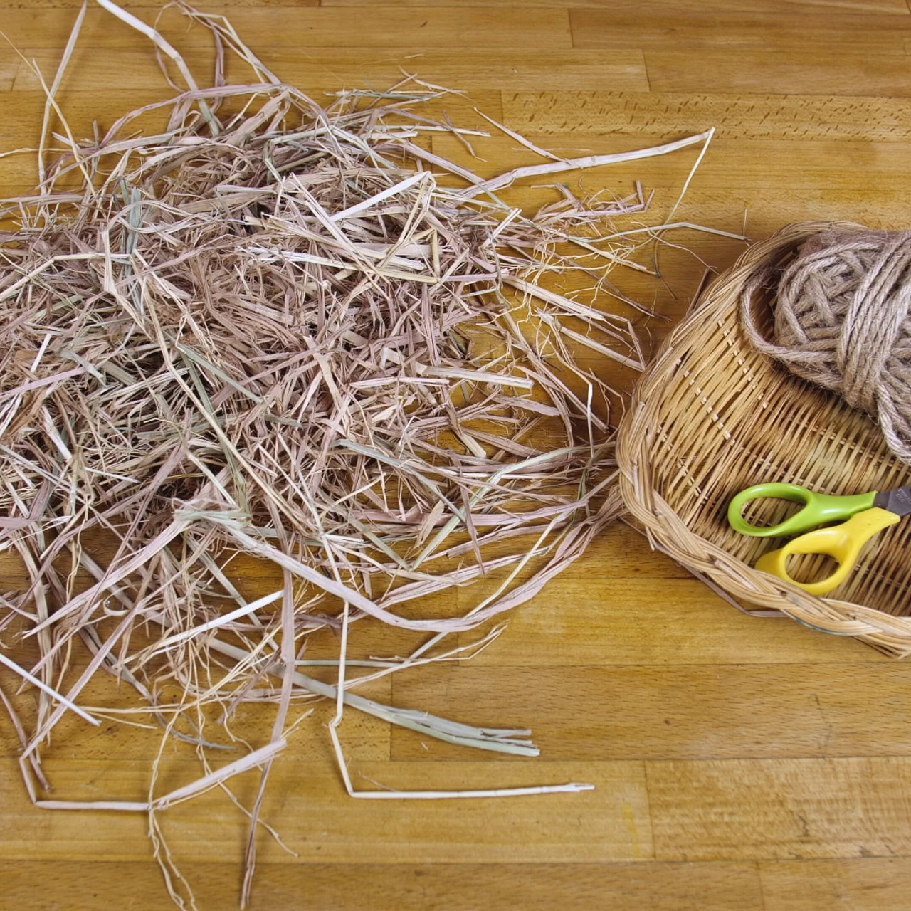 Witnoi_Omni_670821_4