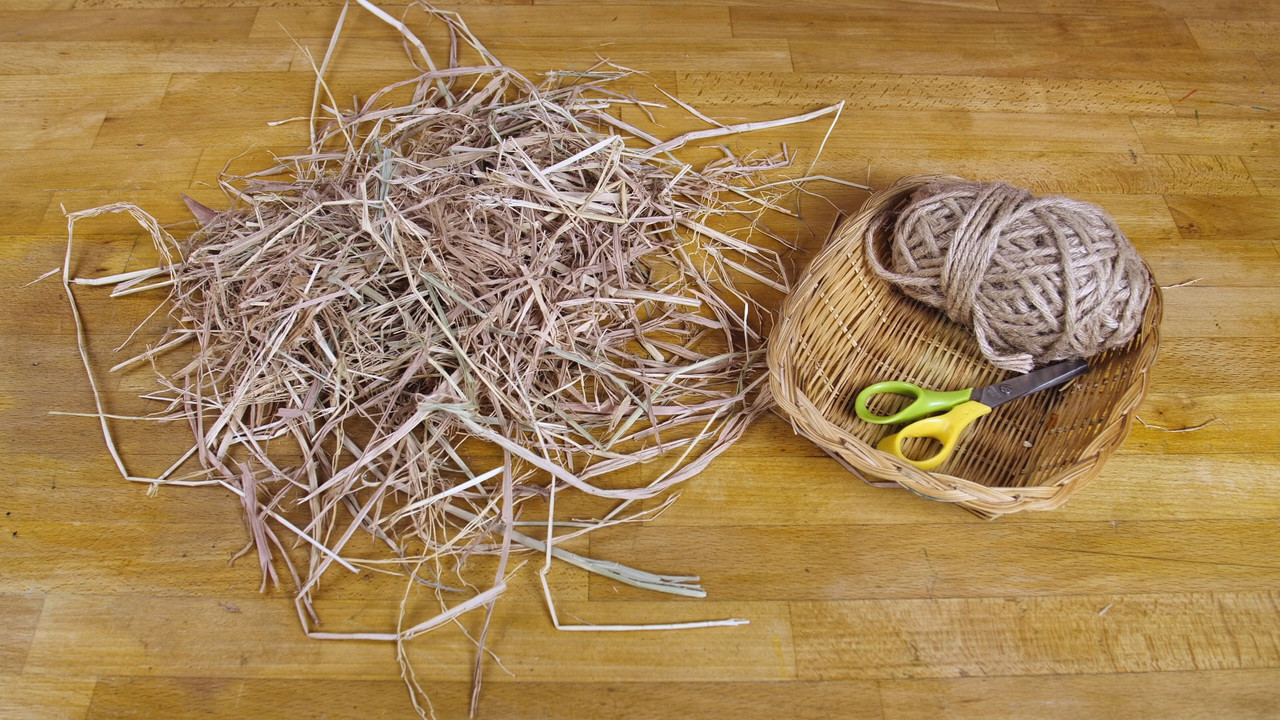 Witnoi_Omni_670821_4