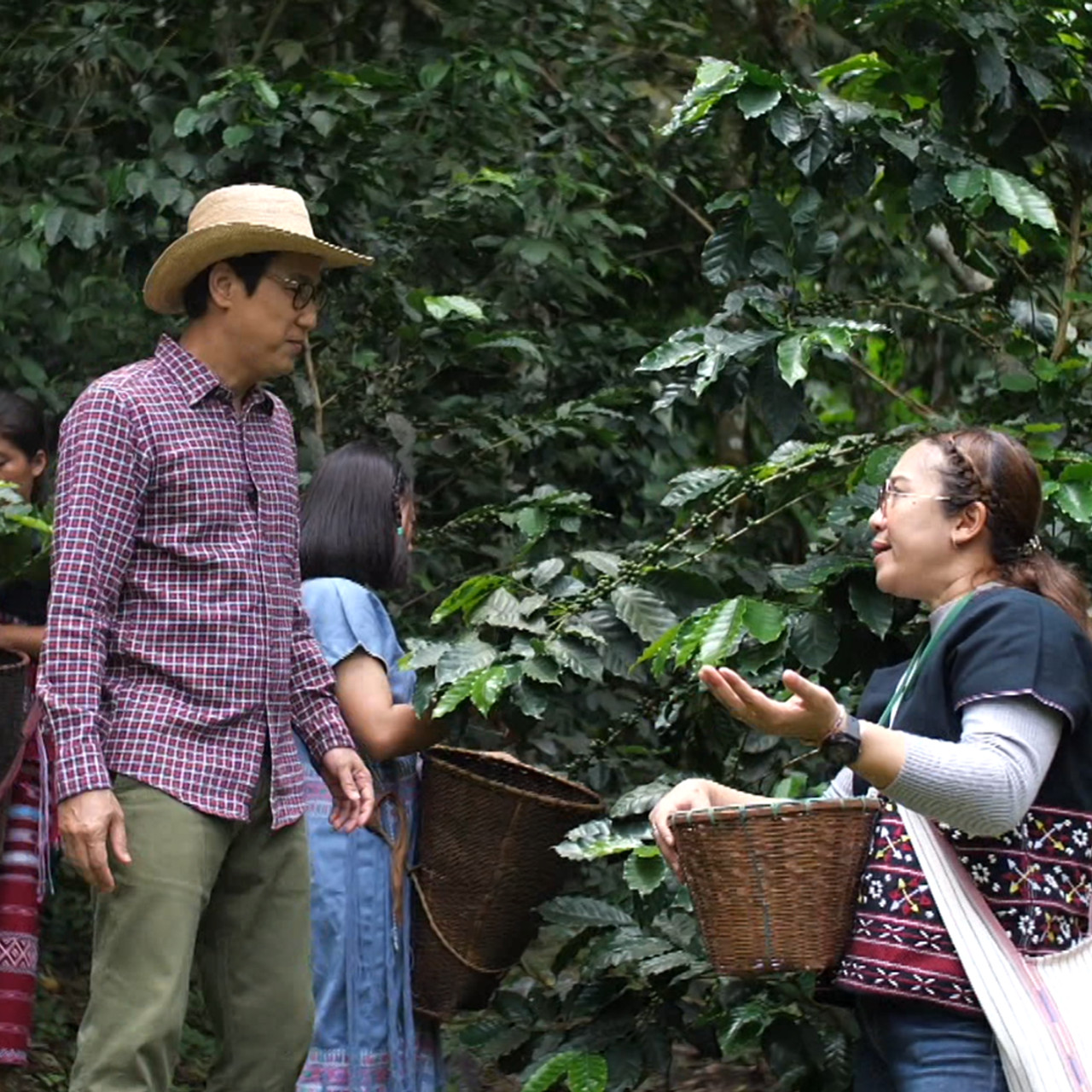 Farmer_670907_1