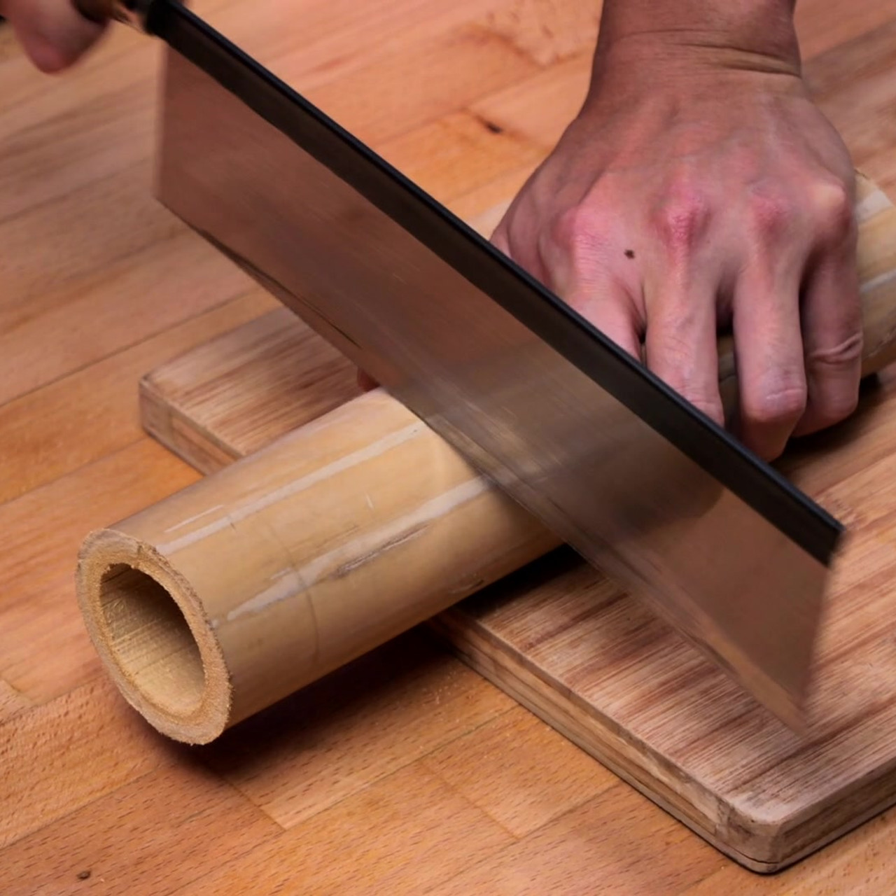 Witnoi_Omni_670901_2