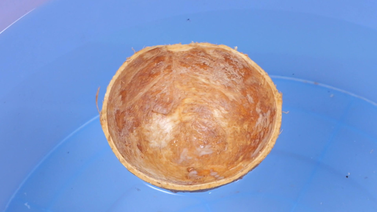 Witnoi_Omni_670908_1