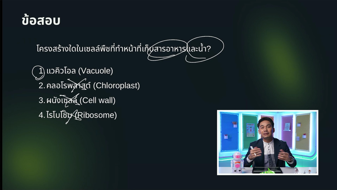 YouEasyPassM1_671115(9)