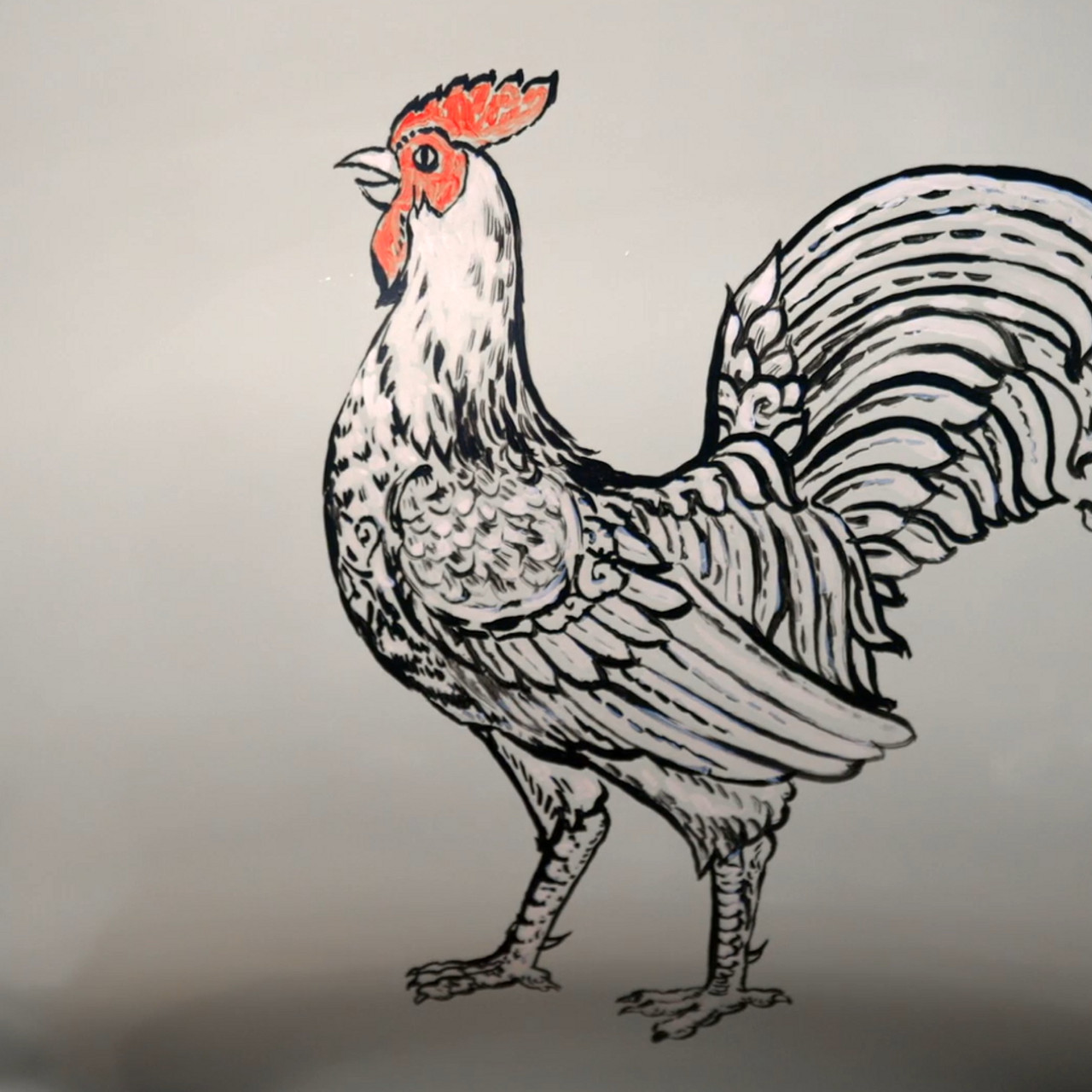 ถ้วยก๋าไก่ (1)