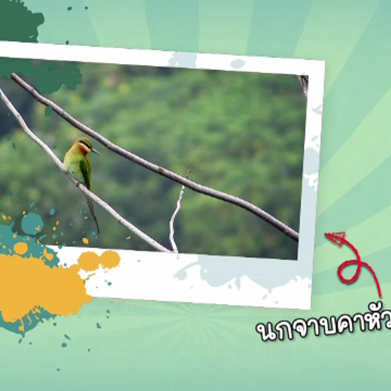 naturespy_580121_5