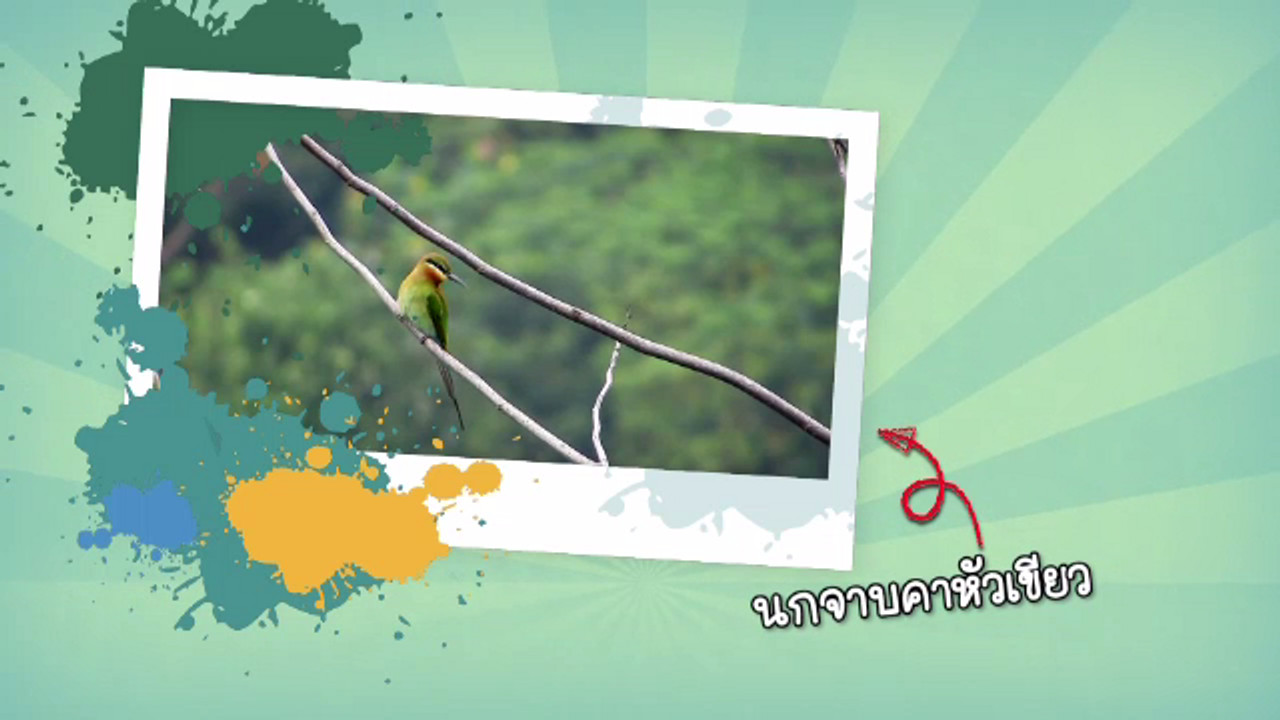 naturespy_580121_5