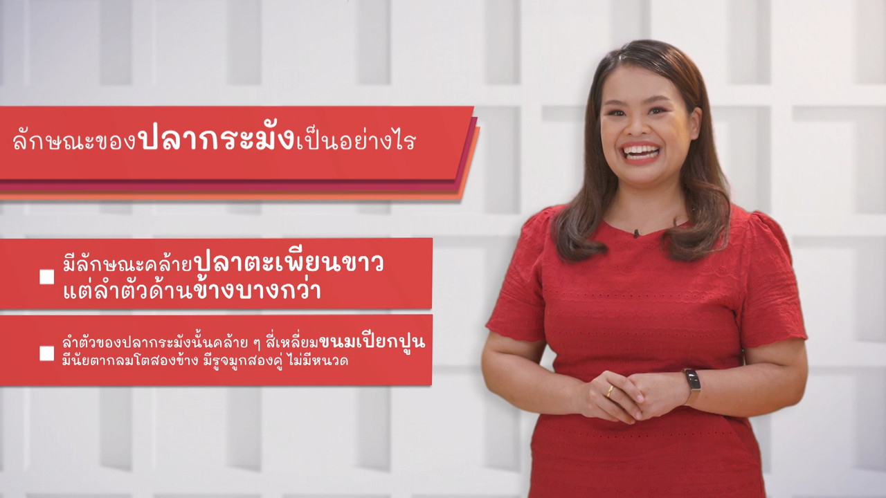 ภาษาไทยไม่จำกัด Ep.05 (04)