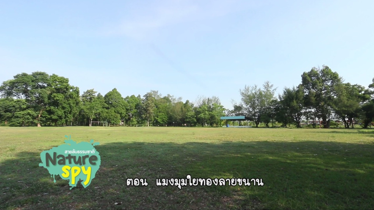 nature_580520_1