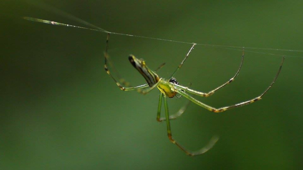 nature_580520_2