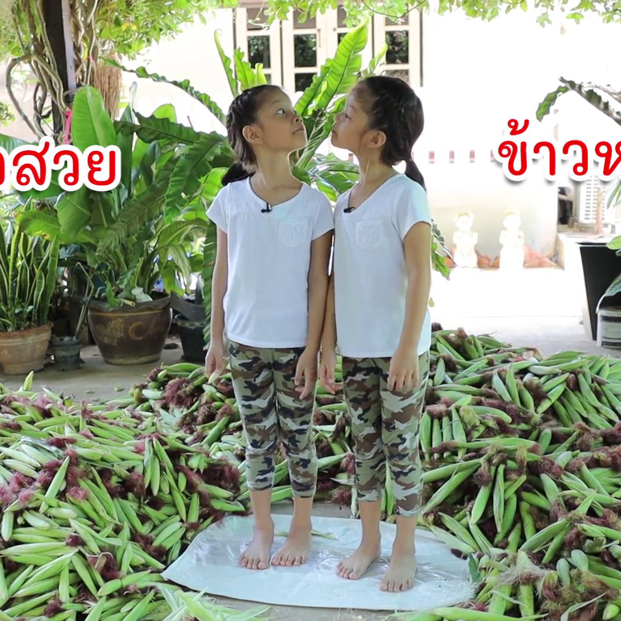 สนุกเรียน 140863 (01)