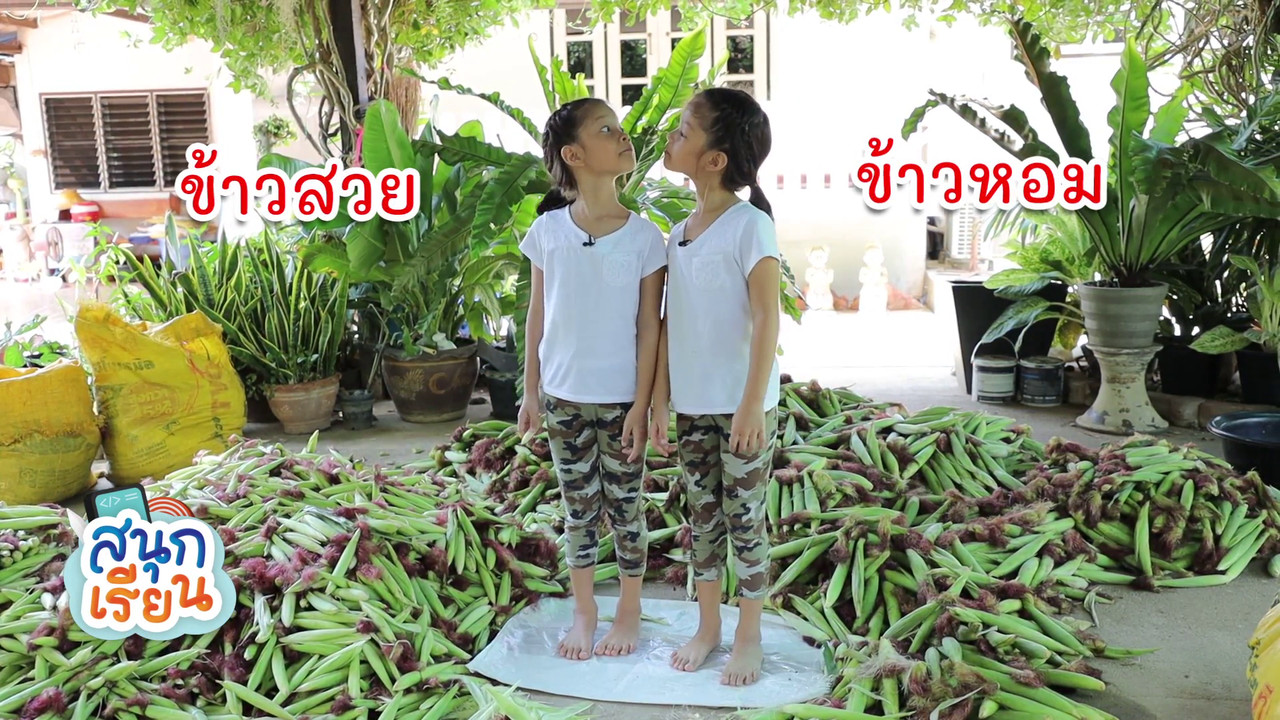 สนุกเรียน 140863 (01)