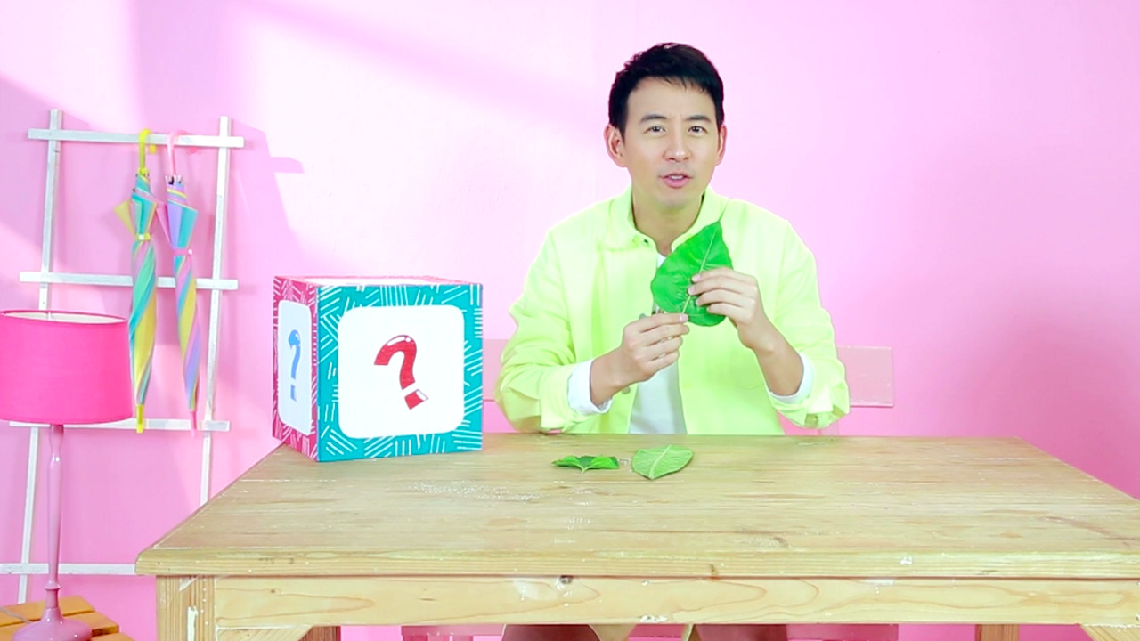 Art Box กล่องนี้มีอะไร ตอน ใบไม้สร้างศิลป์_3