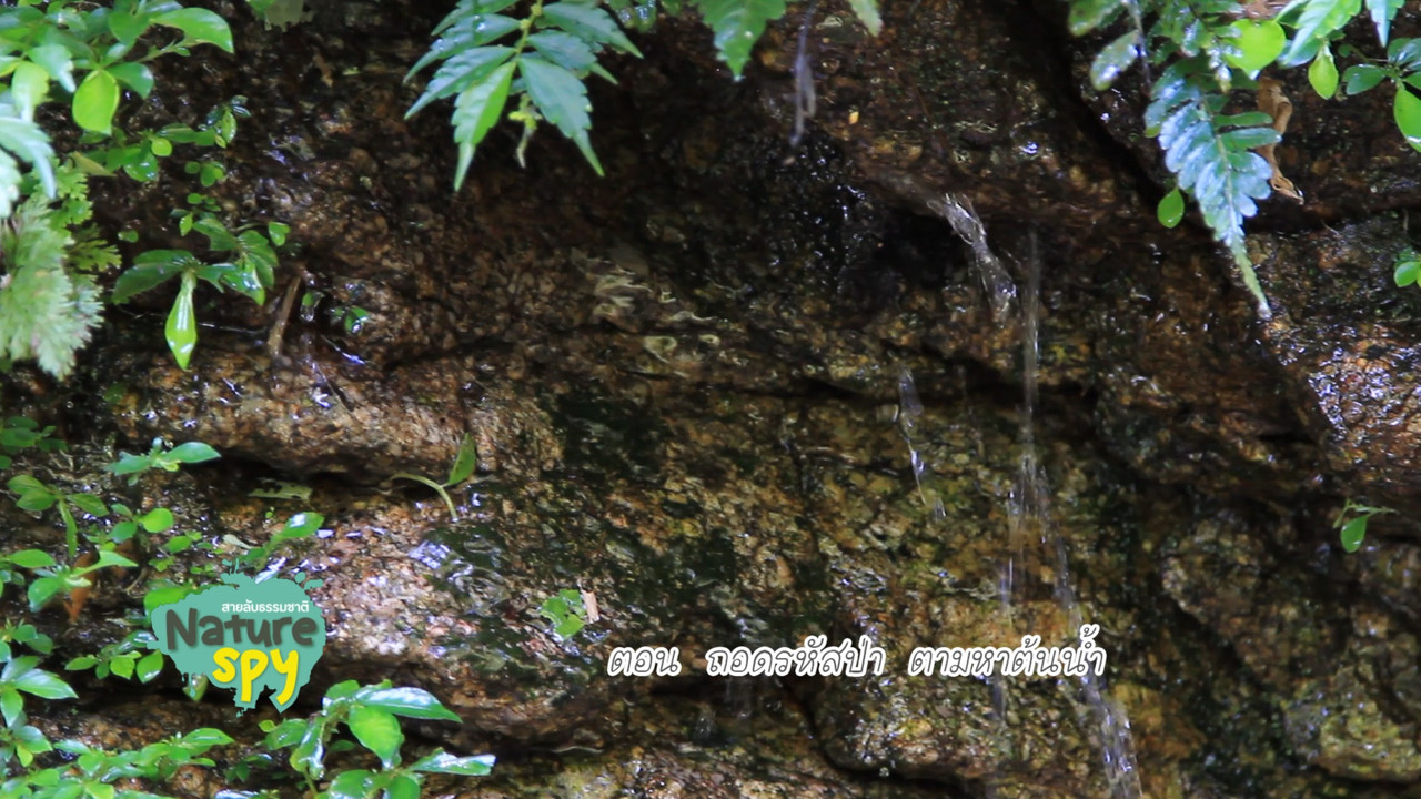 nature_580622_05