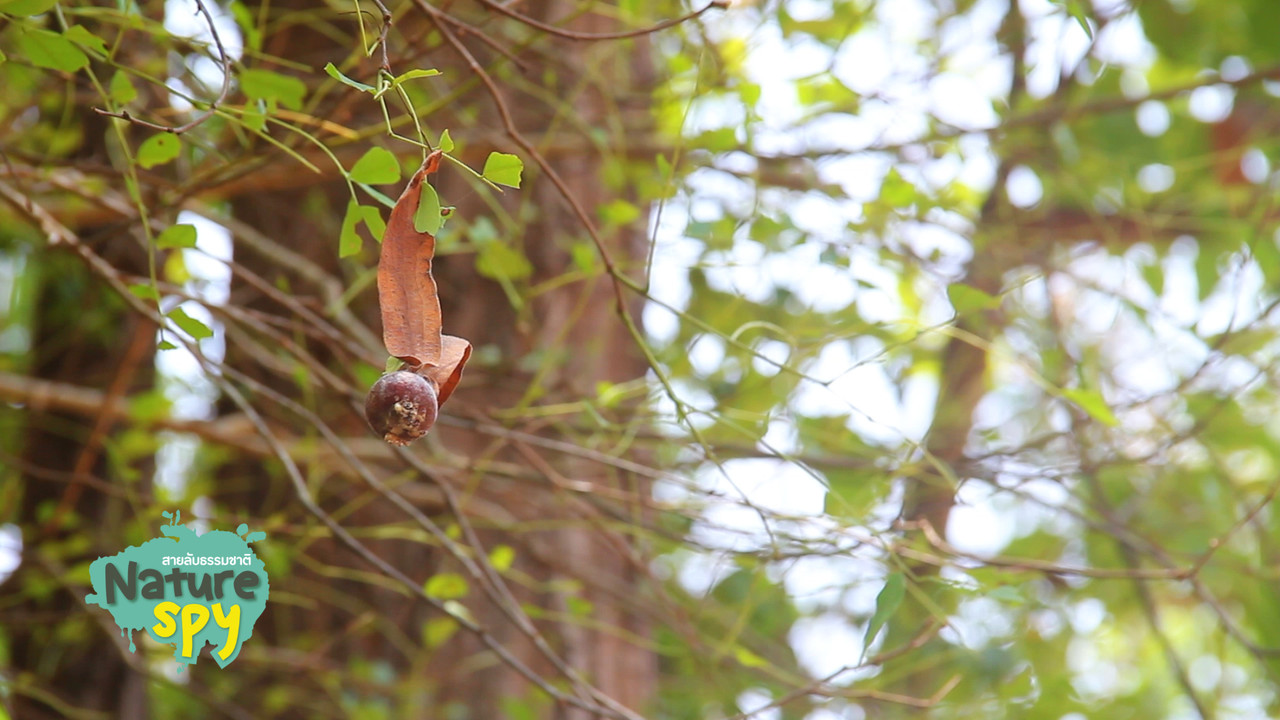 nature_580602_9_2