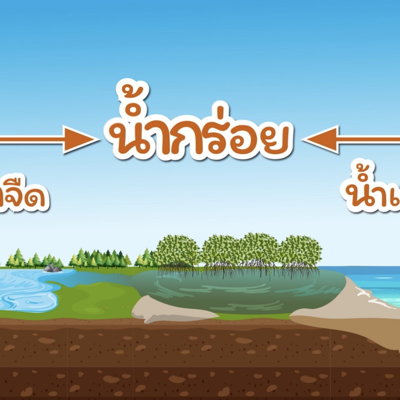 สังคม สนุกคิด 070863 (03)