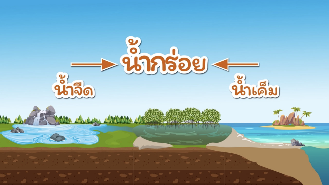 สังคม สนุกคิด 070863 (03)