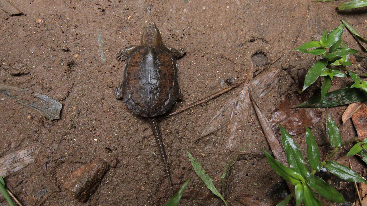 NatureSpy630924-10