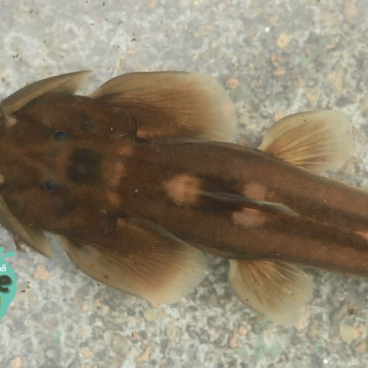 NatureSpy630928-01