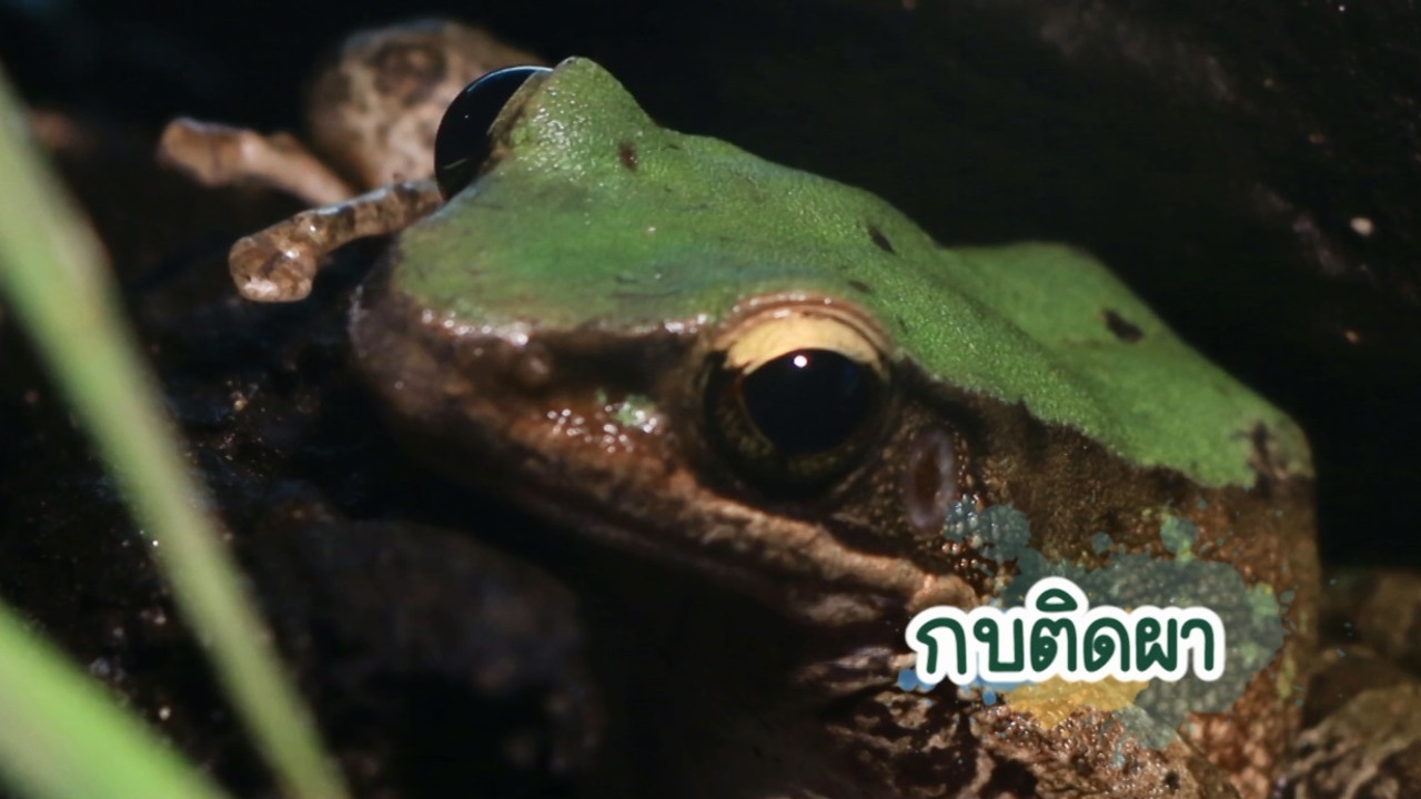 NatureSpy630928-06