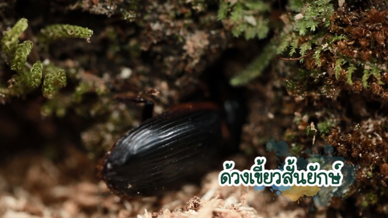 NatureSpy630928-02