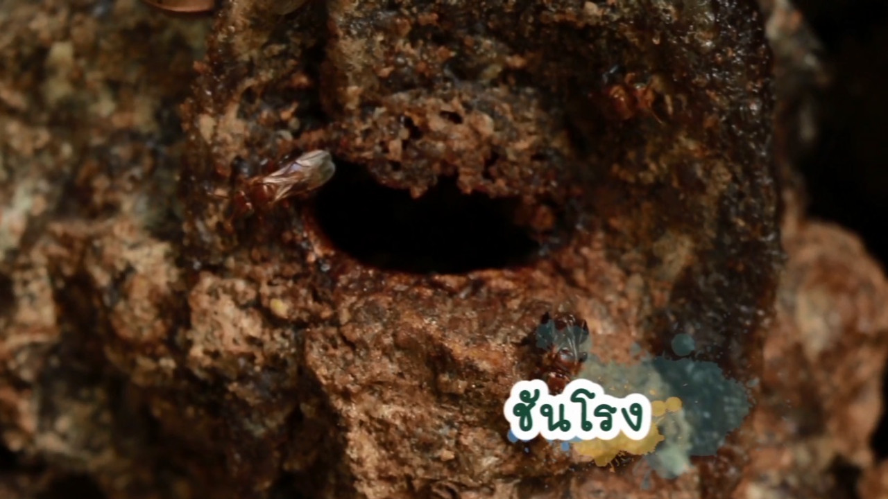 NatureSpy630930-05
