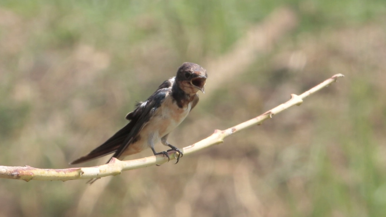 NatureSpy631001-05