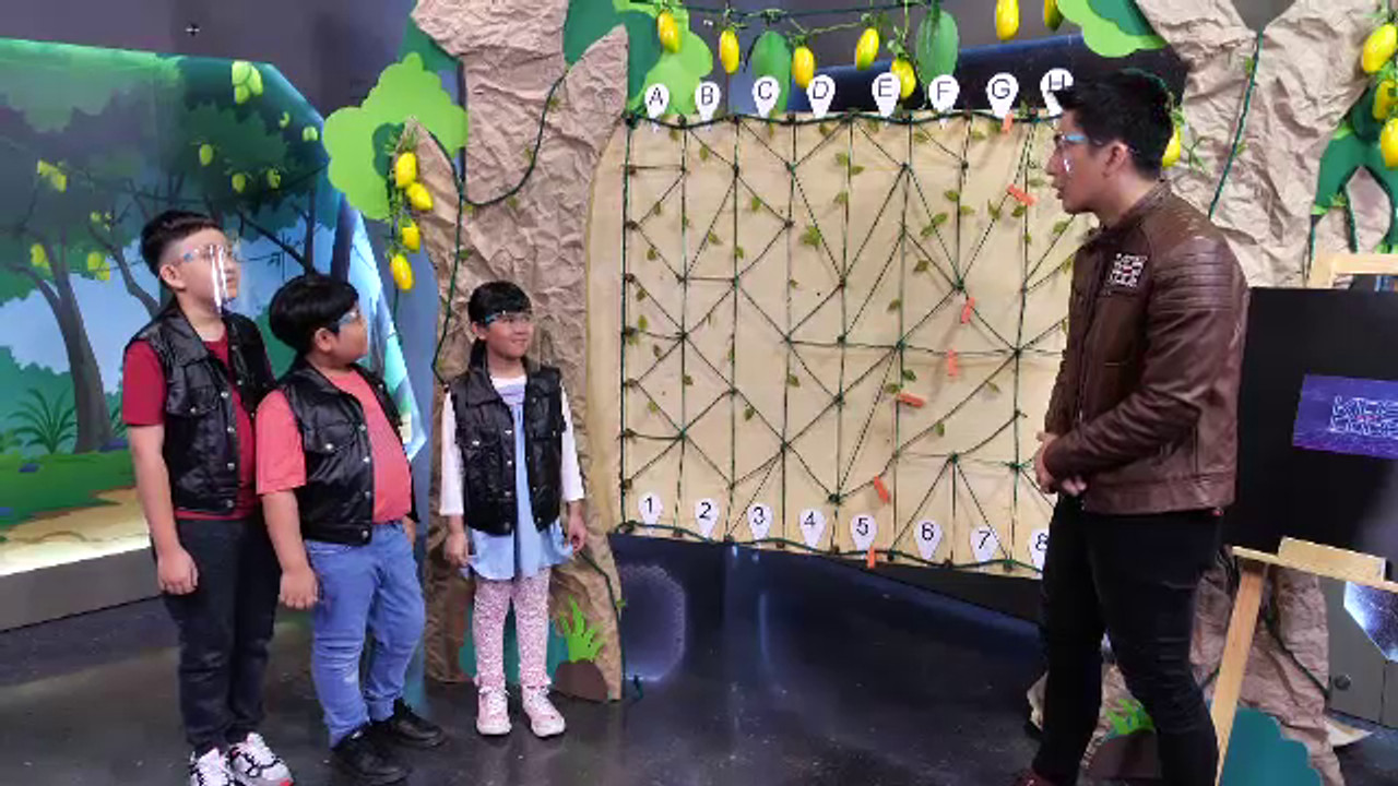 KidsPiChitCode631003-03