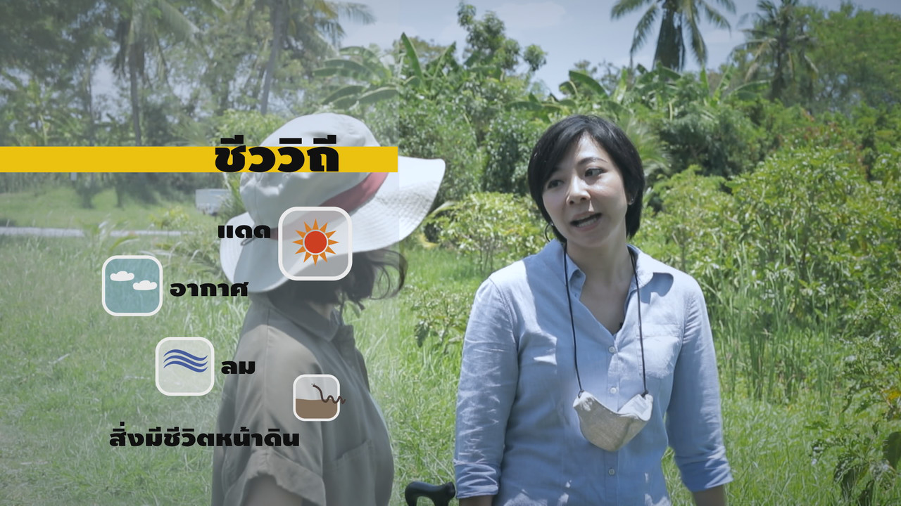 โต้คลื่นอนาคต SS2 ep4 (04)