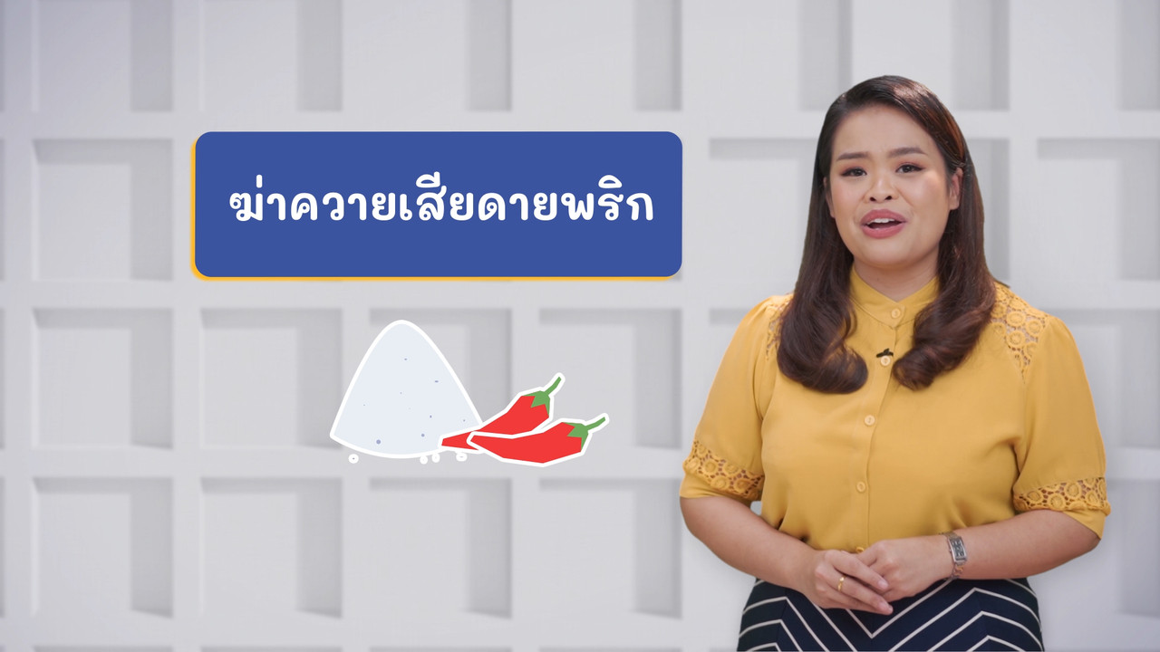 ภาษาไทยไม่จำกัด ep29 (04)