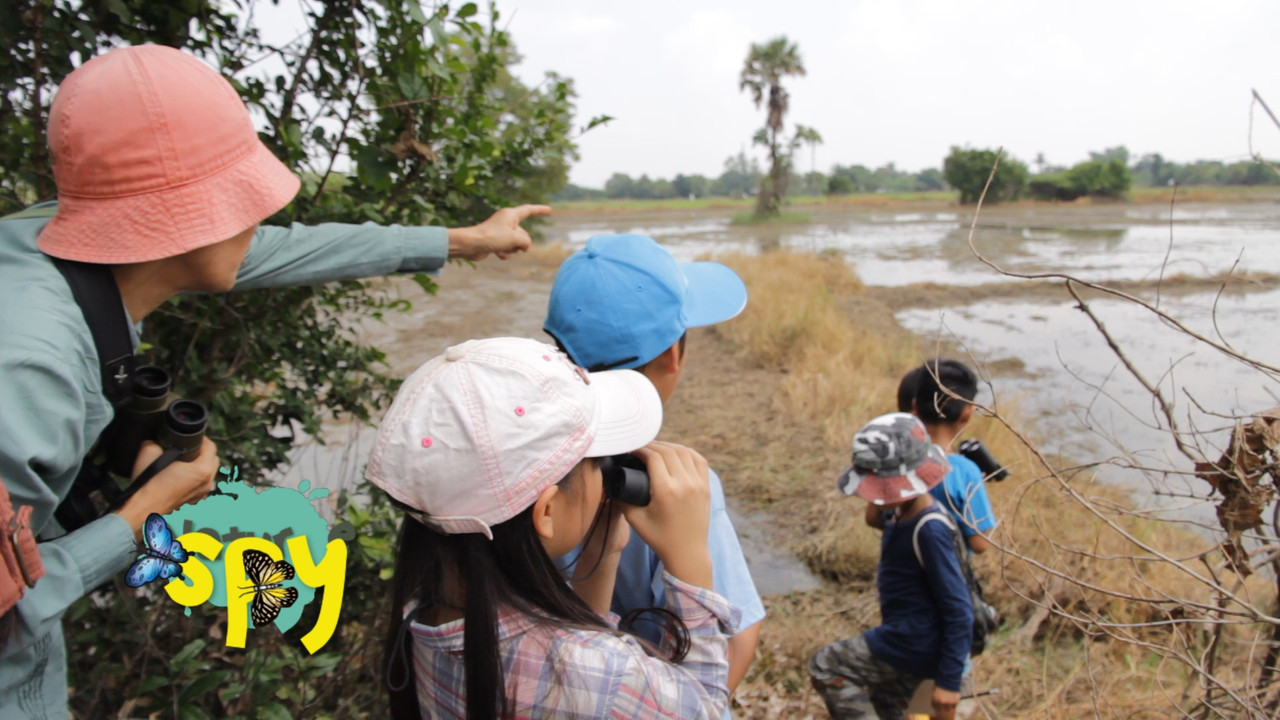 ปากห่างกำจัดหอย7