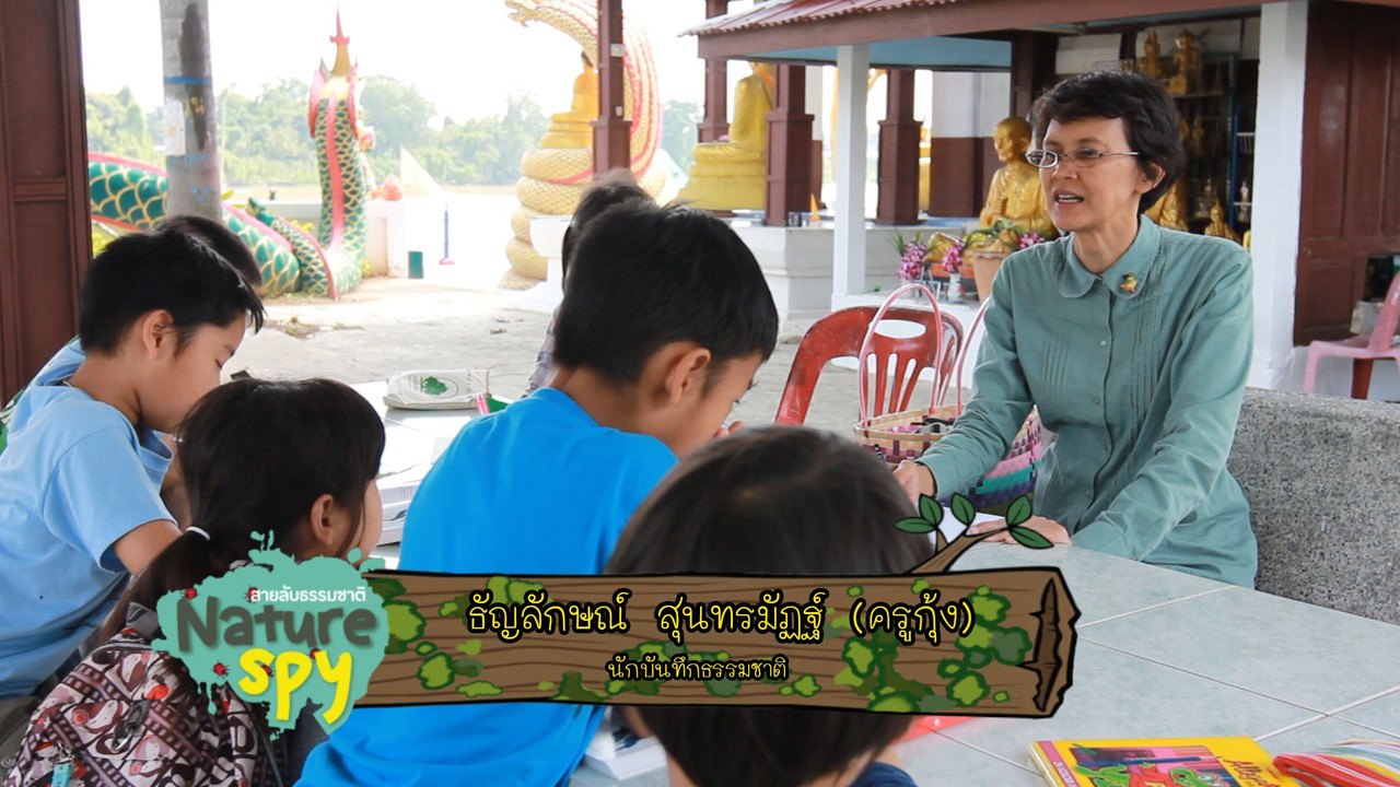 ปากห่างกำจัดหอย10