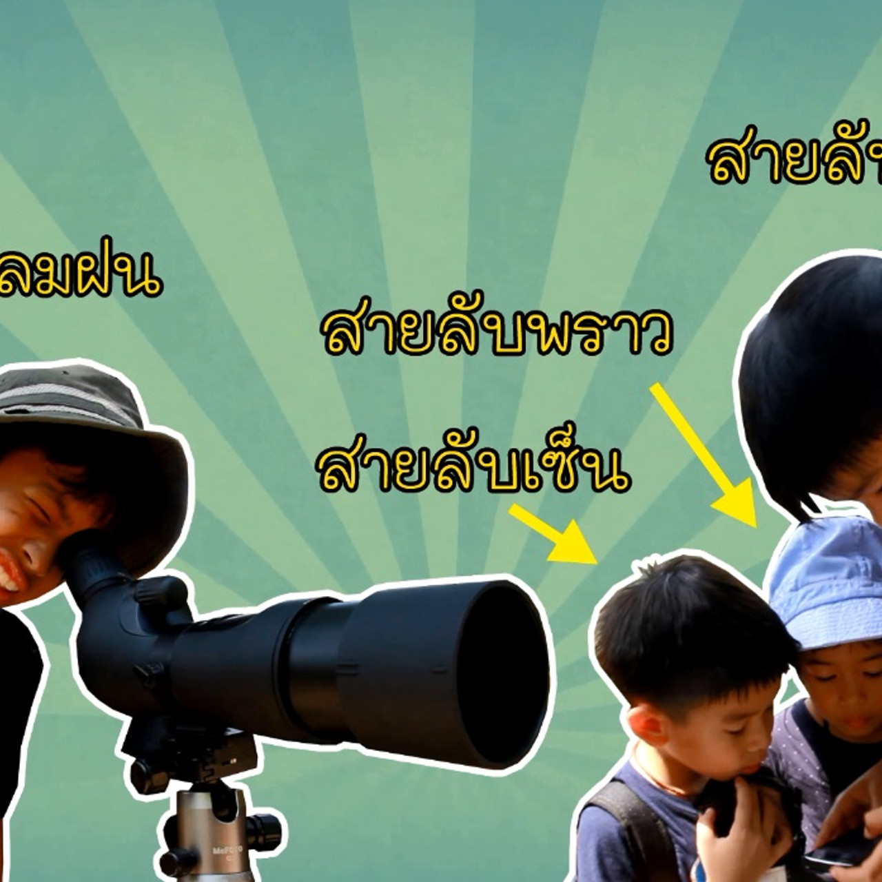 นกน้ำทะเลน้อย2