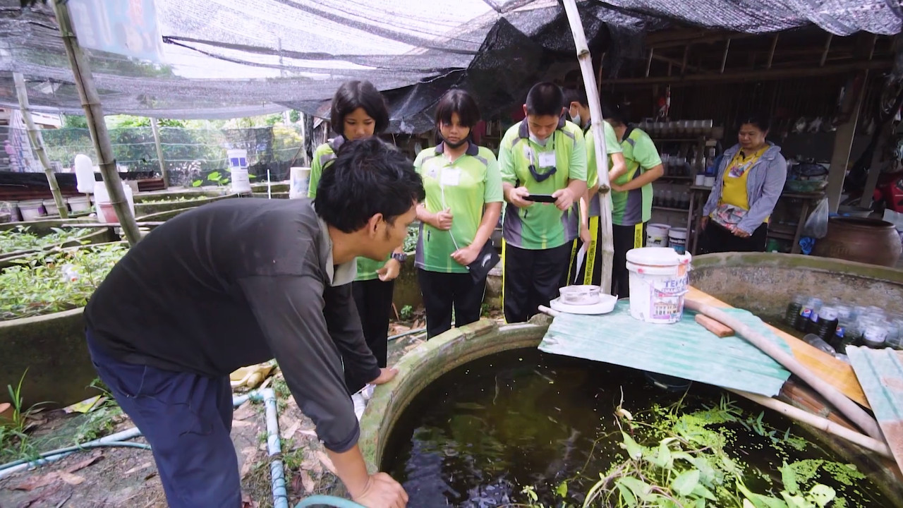 กิจกรรมละคร/หนังสั้น พัฒนาชุมชน โรงเรียนวัดนิเวศวุฒาราม ตอนที่ 17