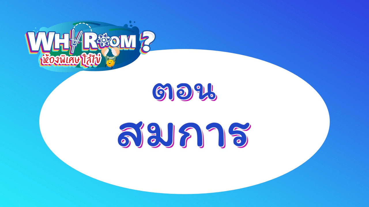 สมการ 2