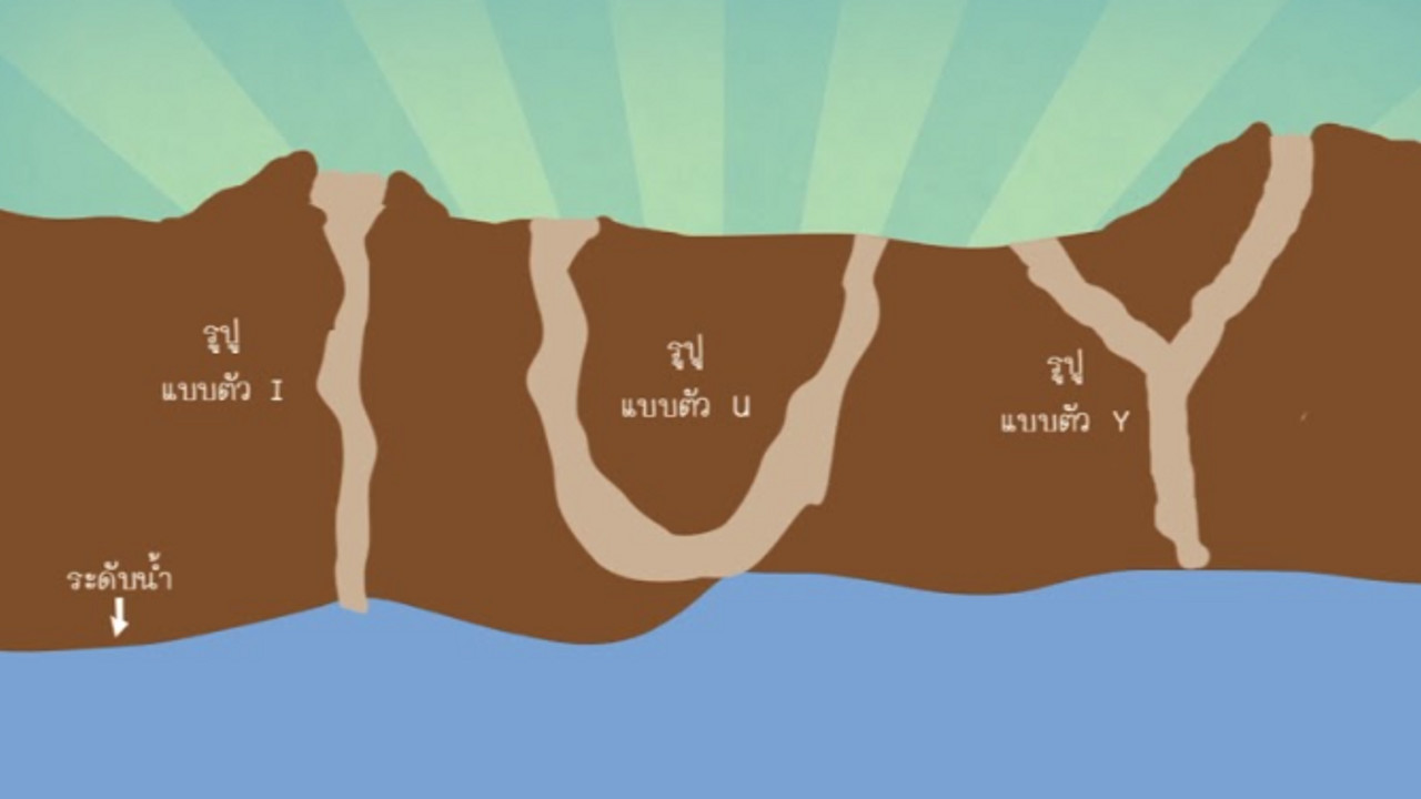 ตามรอยปูแสม6