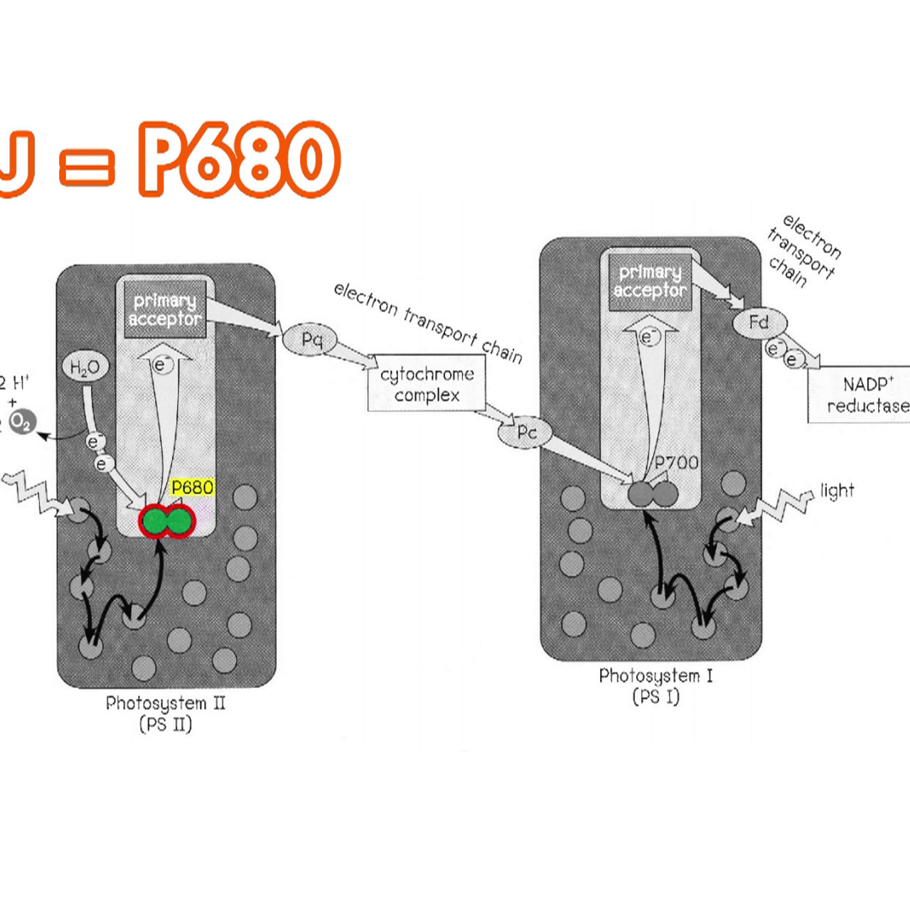 EasyPass630912-05
