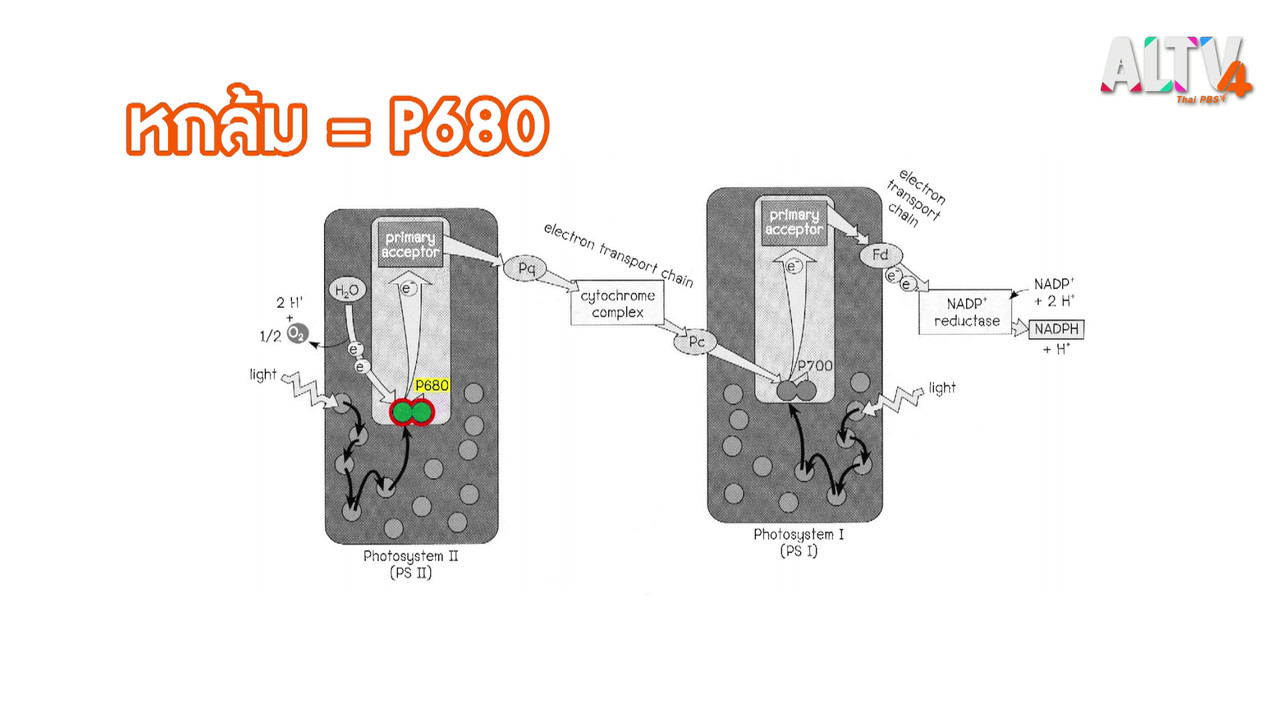 EasyPass630912-05